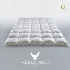 Falkenreck-Gold-Edition-Sommerhalbjahr